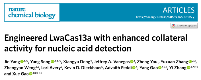 高雪课题组、张毅课题组和高阳课题组合作在Nature Chemical Biology上发表题为Engineered LwaCas13a with enhanced collateral activity for nucleic acid detection的研究论文