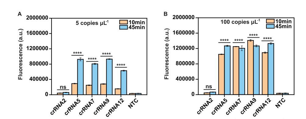 crRNA活性对比