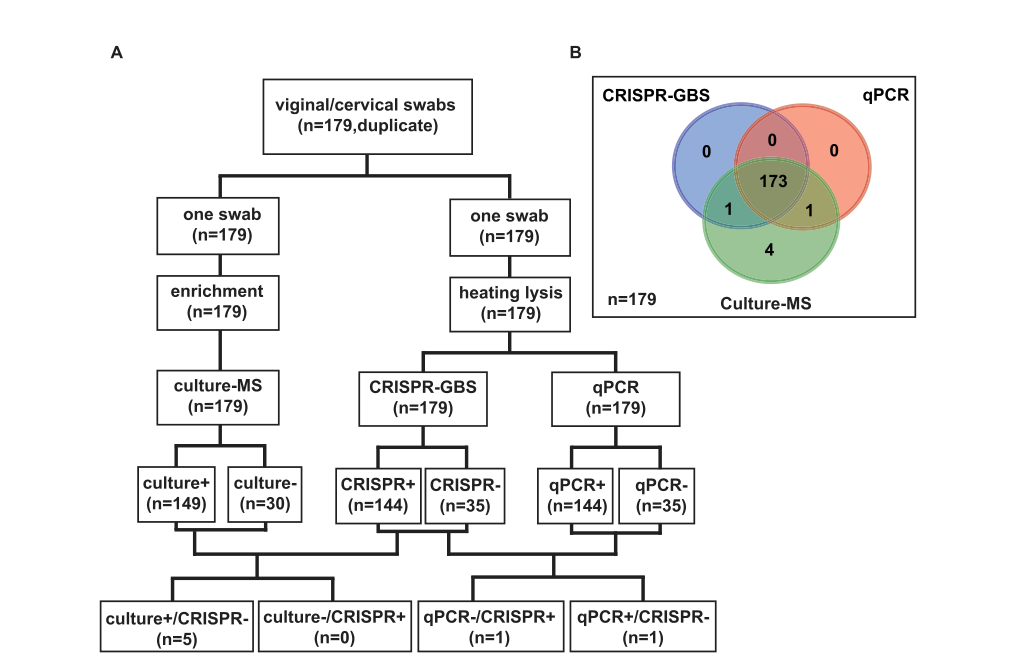 CRISPR-GBS临床分析试验结果