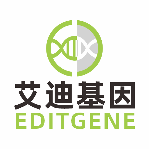 更简单更精确的分子静态观察工具-全新高亮度、高稳定性LUC标记细胞株重磅发