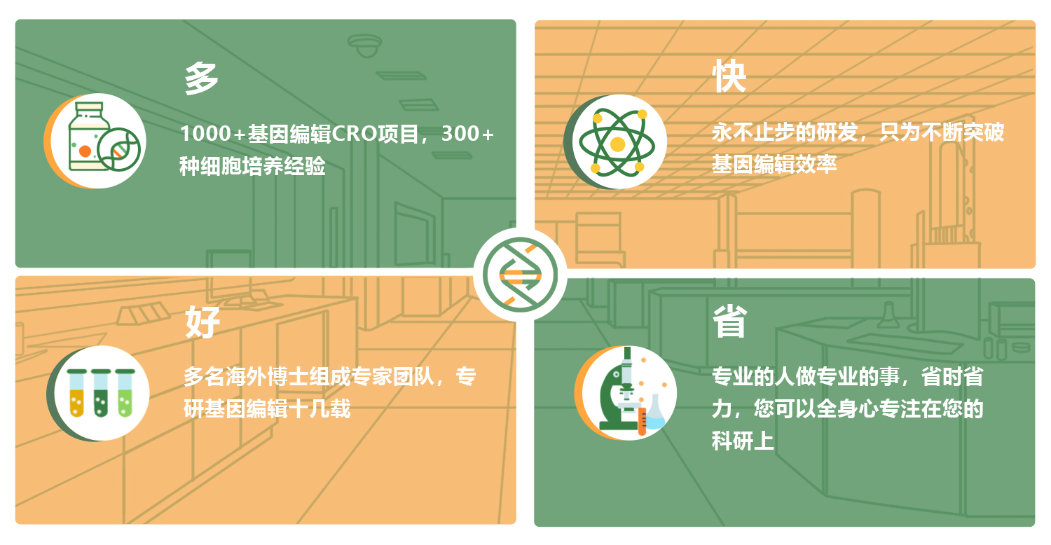 为什么选择艾迪基因进行基因过表达