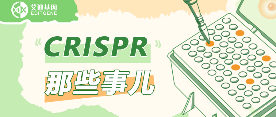 CRISPR文库筛选进阶指南！七大实验要点在这里！